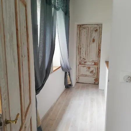 Natura E Arte 帕武洛内尔夫里尼亚诺