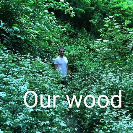 Natura E Arte 乡村民宿 *