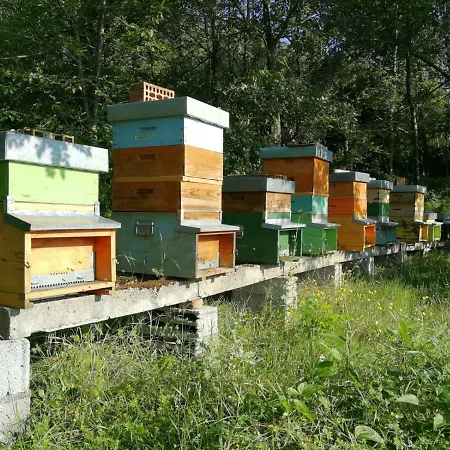 Natura E Arte Lantställe *